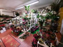 Coin podium plantes et fleurs Boutique Vergez Tarnos